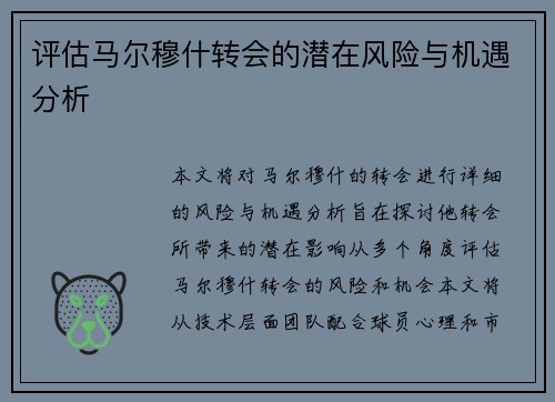 评估马尔穆什转会的潜在风险与机遇分析